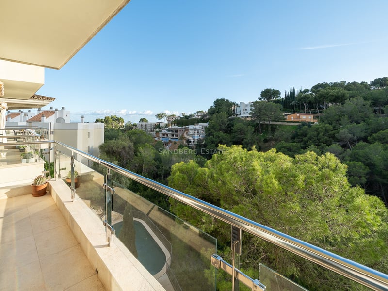 Bred terrass med glasräcke med utsikt över en lummig grön skog och en pool nedanför.