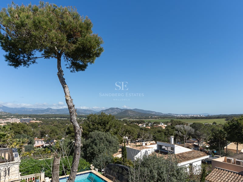 En hög tall i förgrunden med utsikt över en grönskande dal, medelhavsvillor och berg i fjärran under en klarblå himmel.