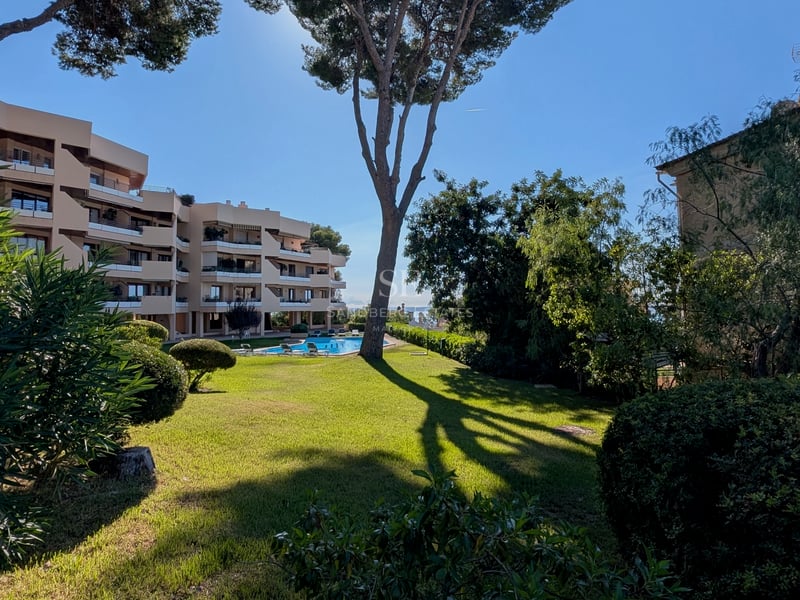 Großer Garten mit grünem Rasen, hohen Pinien und einem blauen Pool vor einem modernen Apartmentgebäude.