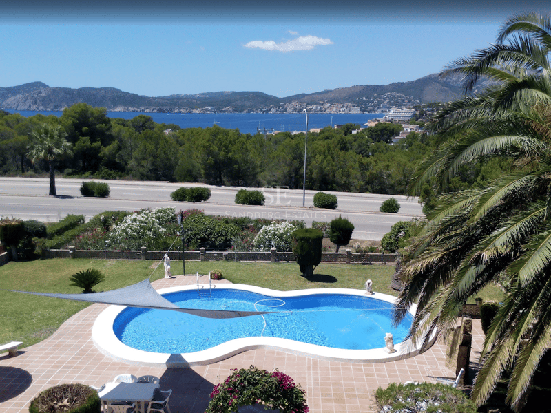 En oval pool i en trädgård med palmer, med utsikt över en blå vik och avlägsna berg.