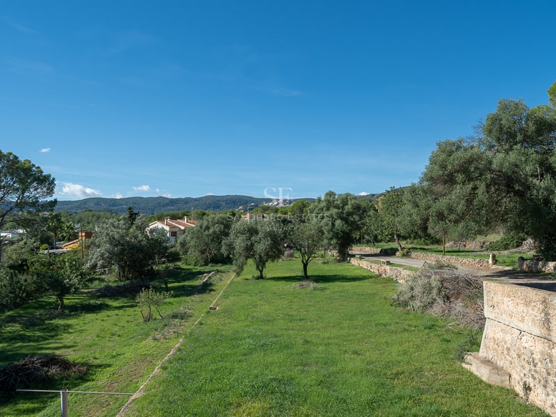 Vue large d'une pelouse verte luxuriante entourée d'oliviers et de murs en pierre rustique sous un ciel bleu clair.
