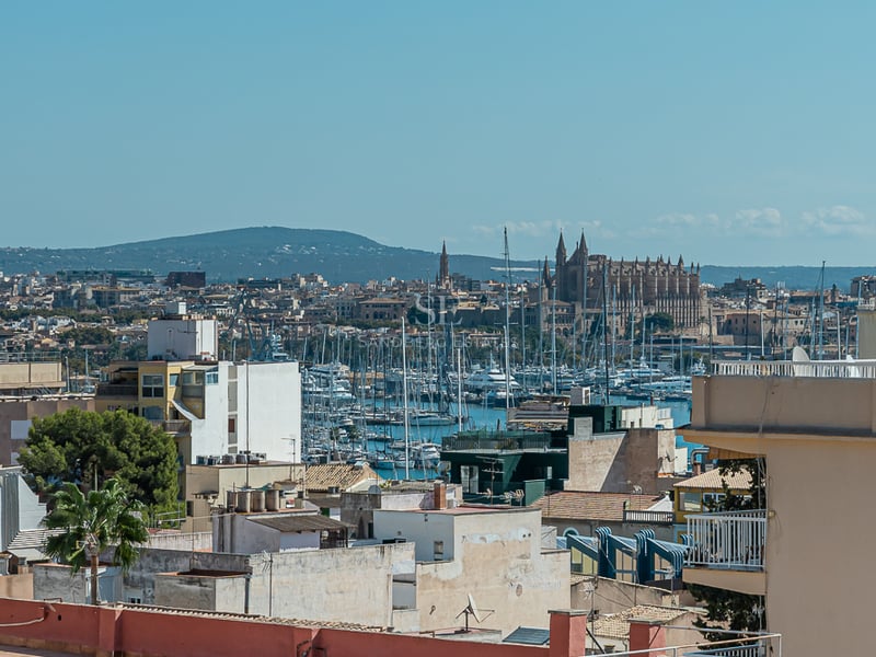 Wide cityscape view of Palma de Mallorca showing the Gothic Cathedral, the marina with sailboats, and urban rooftops.