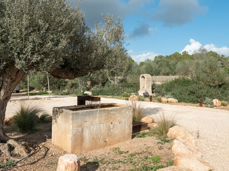 Rustikt stentråg under ett gammalt olivträd i en anlagd medelhavsträdgård.