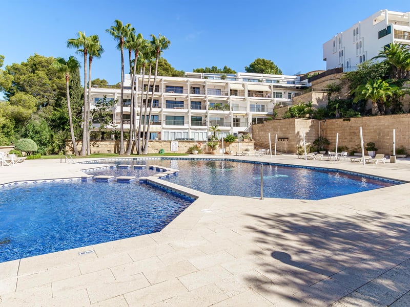 Large blue swimming pool surrounded by stone paving, palm trees, and white apartment buildings under a clear sky.