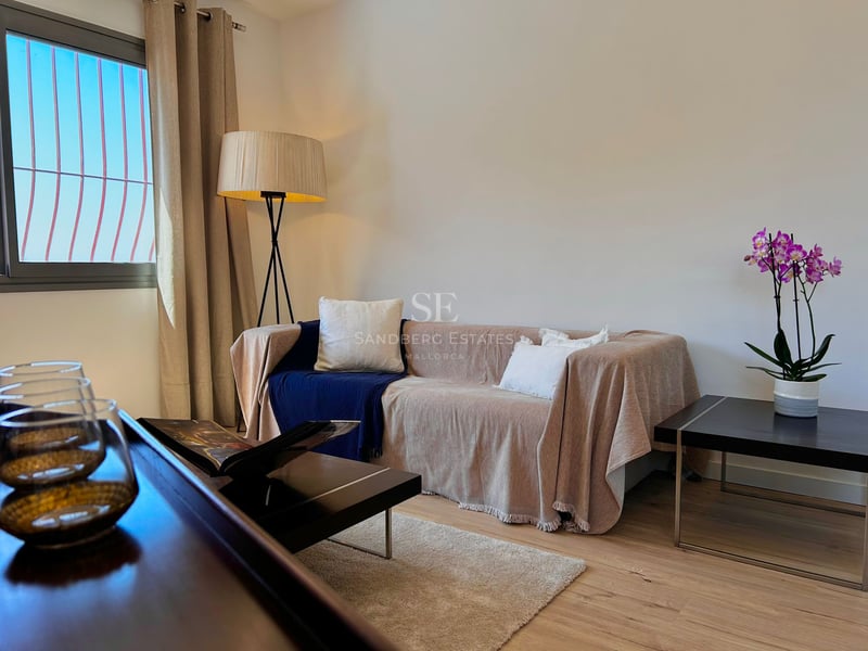 Beige sofa with blue throw, floor lamp, and purple orchid in a bright living room with wooden floors.