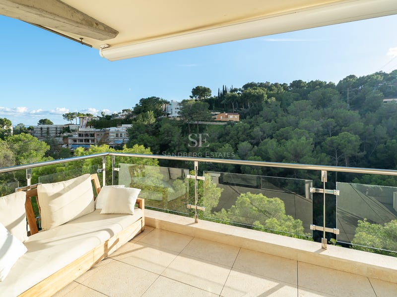 Träsoffa på en solig terrass med glasräcke och utsikt över en lummig skog.