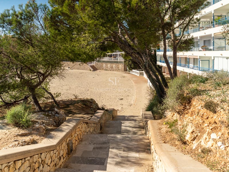 Steintreppen führen von einem weißen Wohngebäude durch Pinienbäume hinunter zu einem breiten Sandstrand.