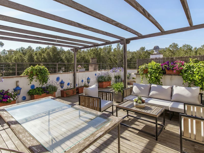 Solig terrass med trädäck, pergola, grå soffor och blomkrukor framför en tallskog.