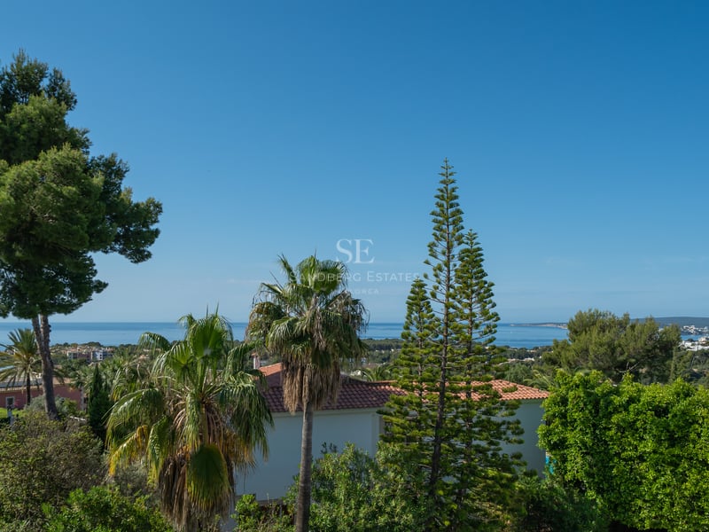 Vue surélevée de la mer Méditerranée encadrée par des palmiers et des pins sous un ciel bleu clair.