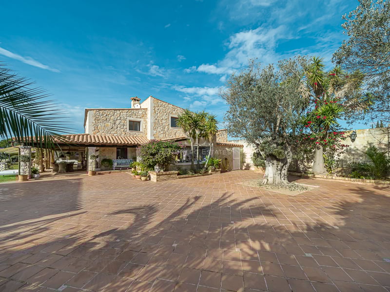 Grande terrasse en terre cuite avec olivier et bougainvilliers devant une villa en pierre sous un ciel bleu.