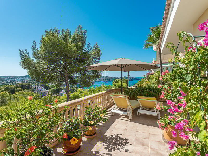 Spacious living room with floor-to-ceiling windows overlooking the garden and pool. Modern design, natural light, and high-quality finishes.