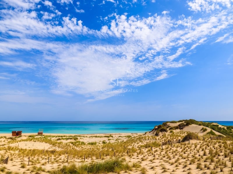 Wide view of sandy dunes with beach grass leading to a bright turquoise sea under a blue sky with white clouds.