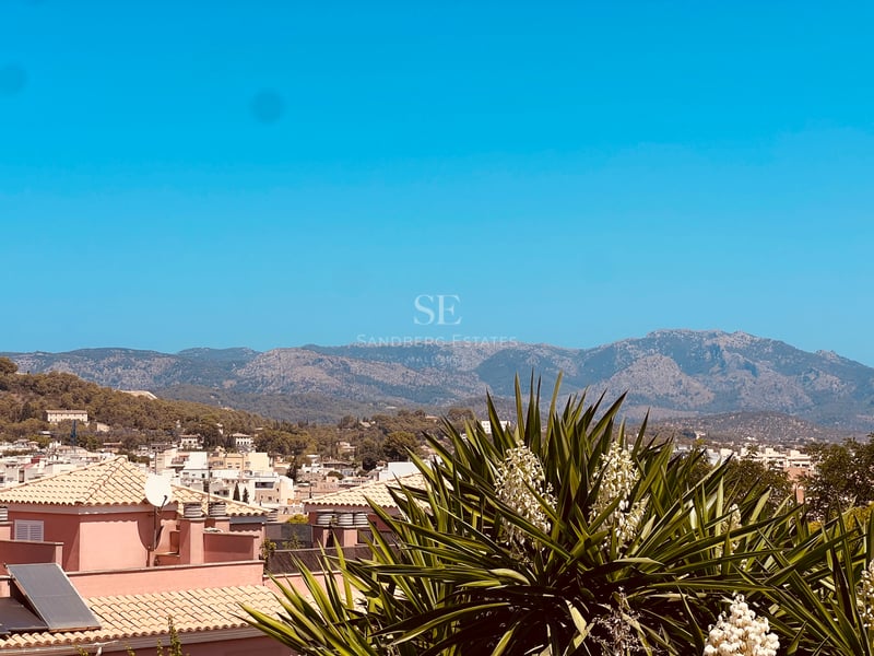 Vue sur les toits en terre cuite vers une chaîne de montagnes sous un ciel bleu avec un yucca au premier plan.