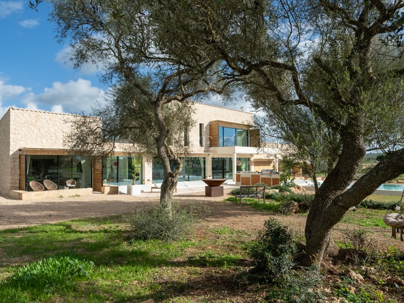 Samtida tvåvåningsvilla med stora glaspartier sedd genom gamla olivträd en solig dag.