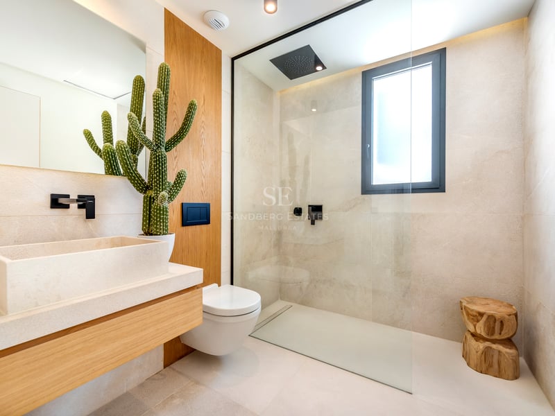 Salle de bains moderne avec douche à l'italienne, vasque en pierre, meuble en bois et un grand cactus.