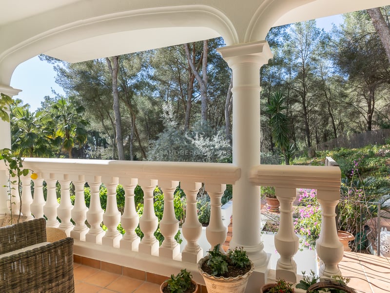 Covered terrace with white balustrade and terracotta tiles overlooking a lush pine forest.