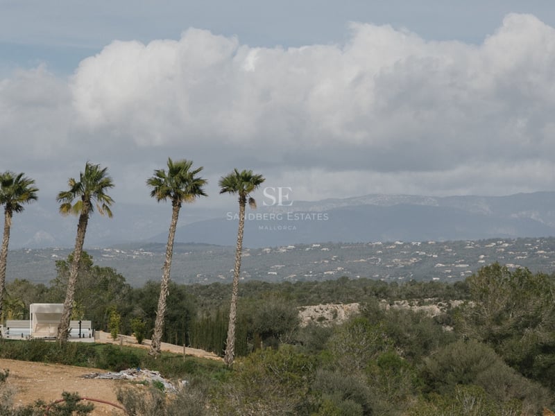 Mediterrane Landschaft mit vier Palmen, einer weißen Tagesliege und fernen Bergen unter bewölktem Himmel.