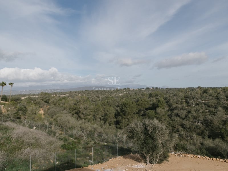 Panoramablick auf einen üppigen grünen Wald, der sich vor einem blauen Himmel bis zu fernen Bergen erstreckt.