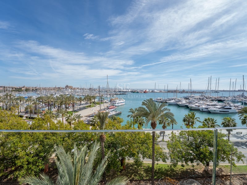 Upphöjd vy genom ett glasräcke över en marina fylld med yachter med palmer och katedralen i fjärran.