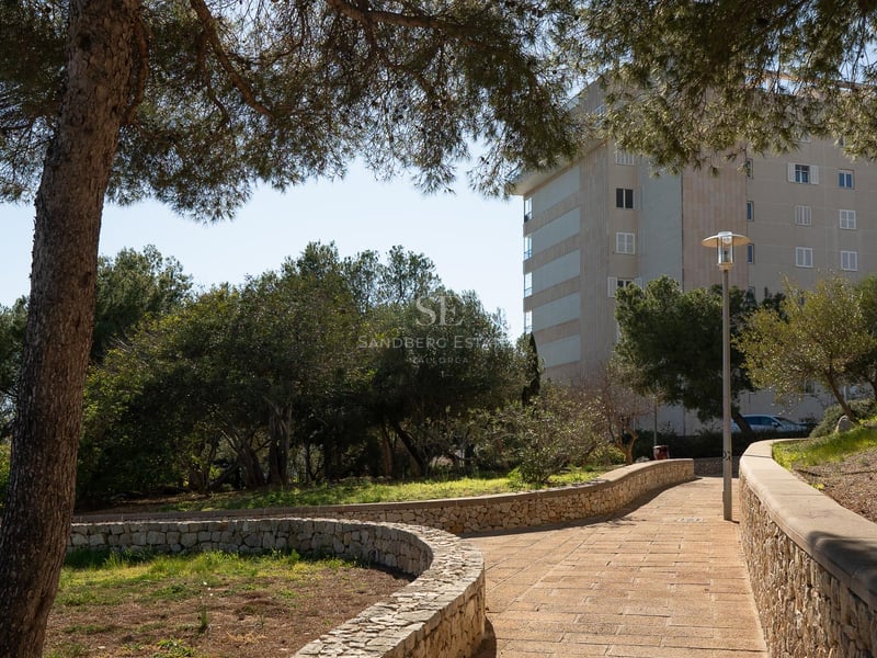 Ein geschwungener Pflasterweg mit Natursteinmauern und alten Pinien, der zu einem Wohngebäude führt.
