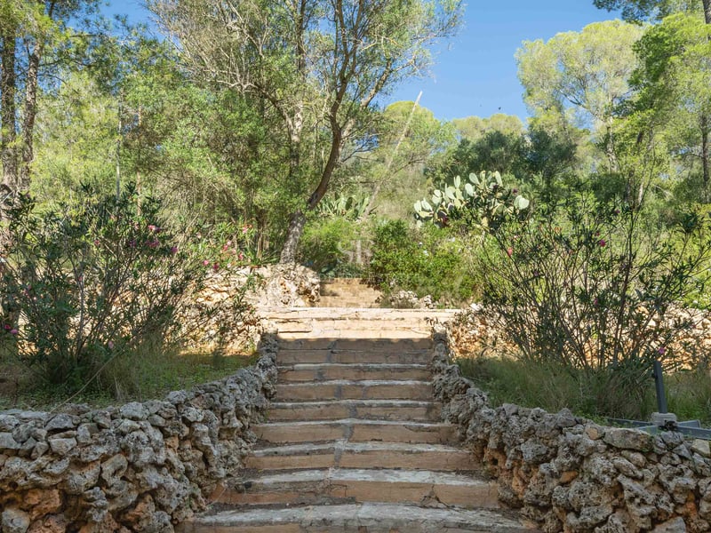 Des marches en pierre naturelle encadrées par des murs de pierre et une végétation méditerranéenne sous un ciel bleu.