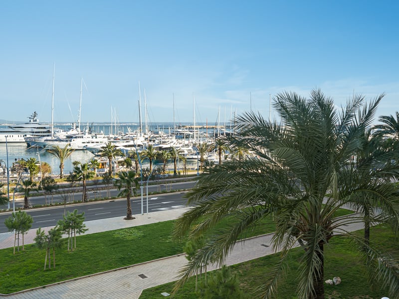 Upphöjd vy över en hamn med lyxyachter, palmer och en kustväg under en klarblå himmel.
