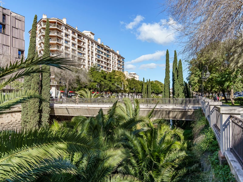 Un parc urbain ensoleillé avec des palmiers, un pont piétonnier et des immeubles d'appartements modernes.