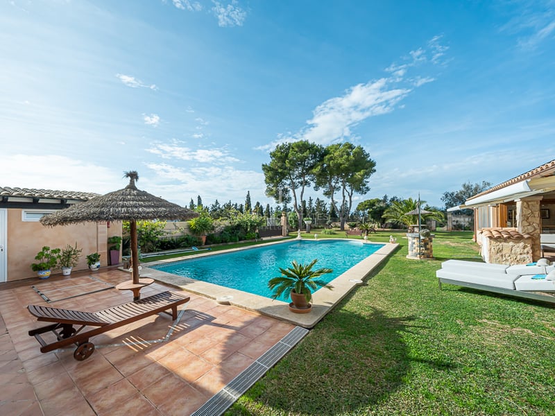 Grande piscine rectangulaire entourée d'une terrasse en terre cuite, d'une pelouse entretenue et de palmiers.
