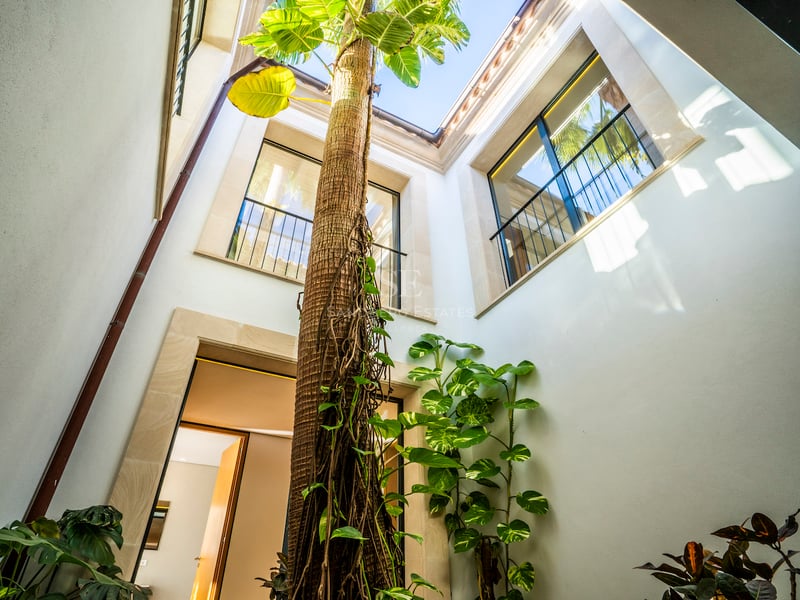 Blick nach oben auf eine hohe Palme in einem weißen Innenhof mit steingefassten Fenstern und Blick auf den Himmel.
