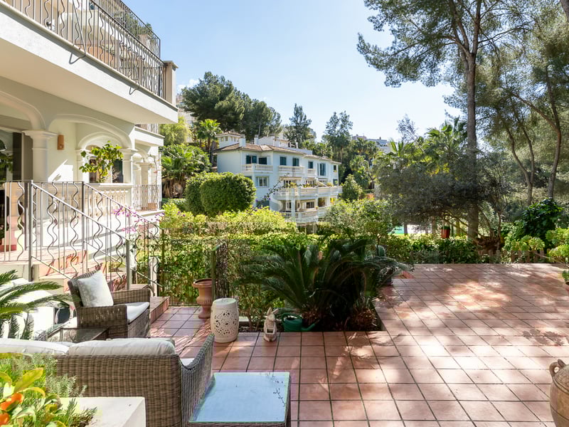 Spacious terracotta terrace with wicker chairs surrounded by lush plants and mature pine trees under a clear blue sky.