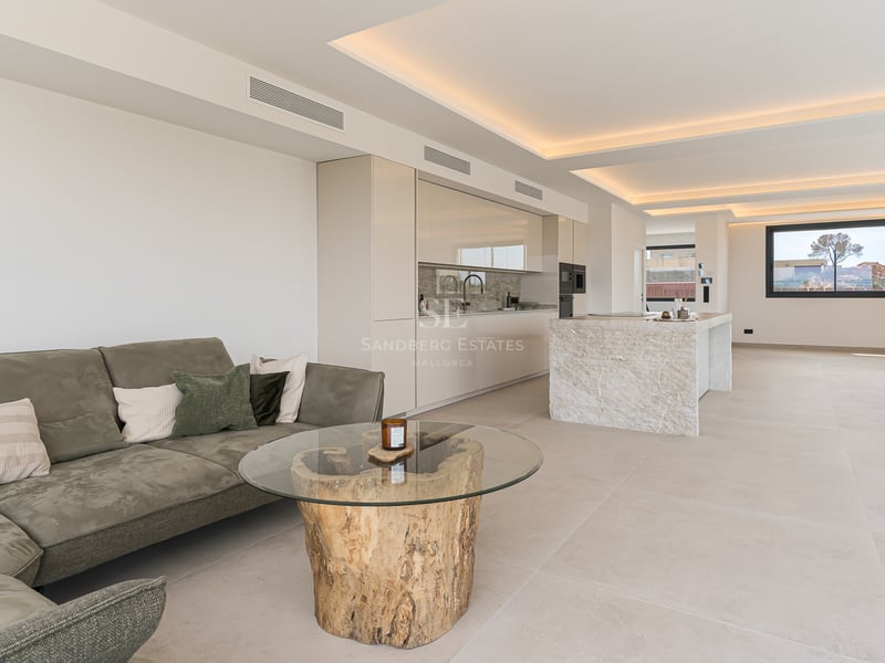 Offenes Wohnzimmer mit olivfarbenem Sofa, Glastisch mit Baumstammfuß und schlichter weißer Küche.