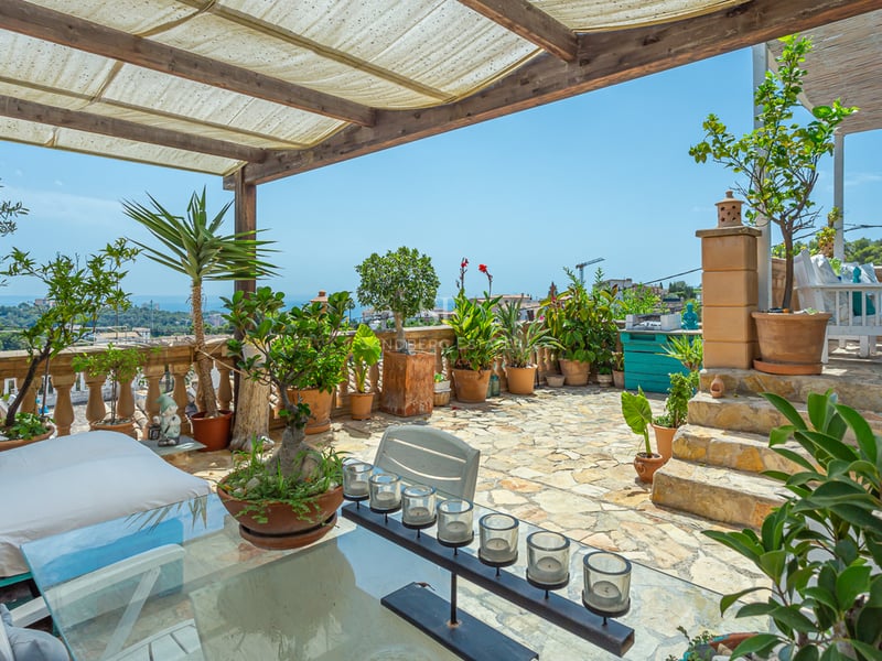 View of an infinity pool with glass edge, surrounded by lush garden and modern home with large windows.