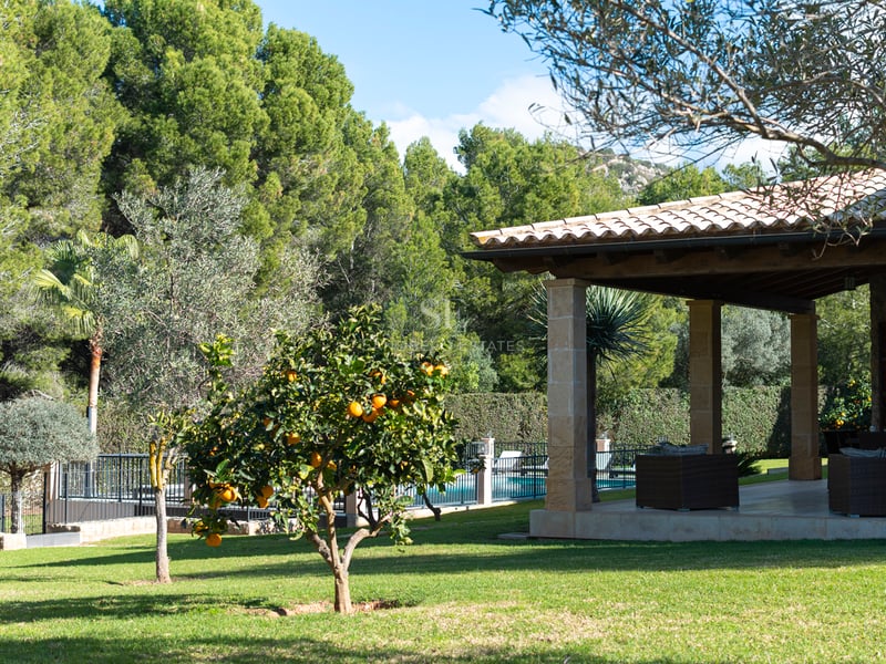 Välskött gräsmatta med apelsinträd i förgrunden och en täckt veranda med stenpelare och korgmöbler.