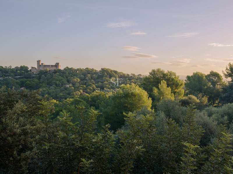 Eine historische kreisförmige Steinburg auf einem üppig grünen, bewaldeten Hügel unter einem sanften Abendhimmel.