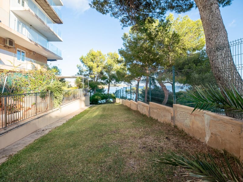 Gepflegte Rasenfläche neben einem modernen Gebäude mit Pinien und Meerblick im Hintergrund.