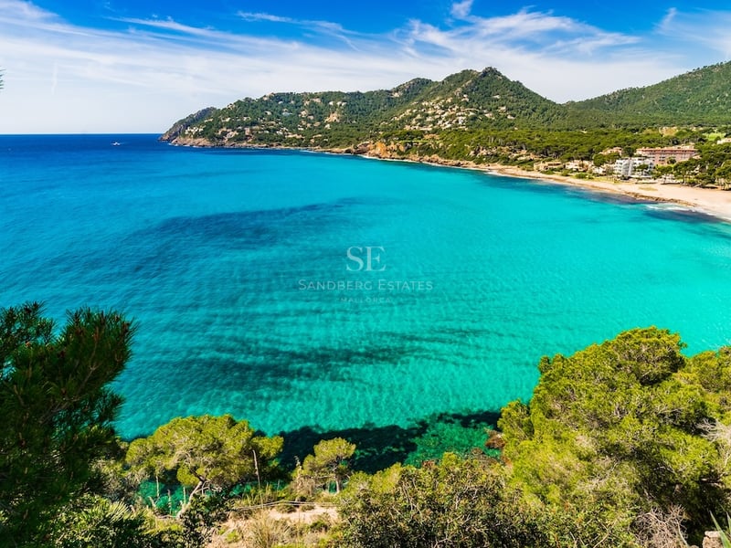 High-angle view of a clear turquoise bay surrounded by lush green pine trees and distant mountains under a blue sky.