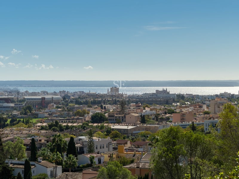 Vue panoramique de Palma avec des bâtiments, de la verdure et la mer Méditerranée étincelante à l'horizon.