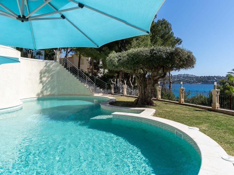 Geschwungener Pool mit türkisfarbenem Wasser, einem Olivenbaum und Meerblick unter einem blauen Sonnenschirm.