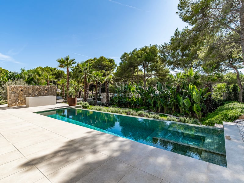 Piscine rectangulaire turquoise entourée d'une terrasse en pierre beige et de palmiers sous un ciel bleu.