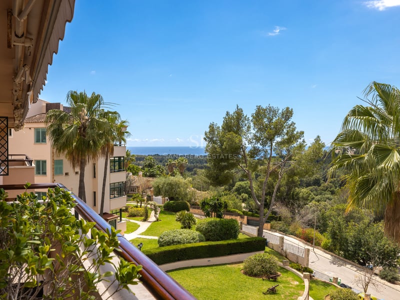 Vue d'un balcon sur un jardin méditerranéen avec des palmiers et la mer bleue au loin par temps clair.