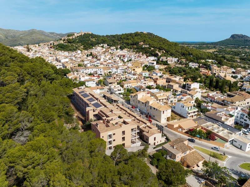 High-angle drone shot showing a modern building nestled between a dense green forest and a historic town with a castle.