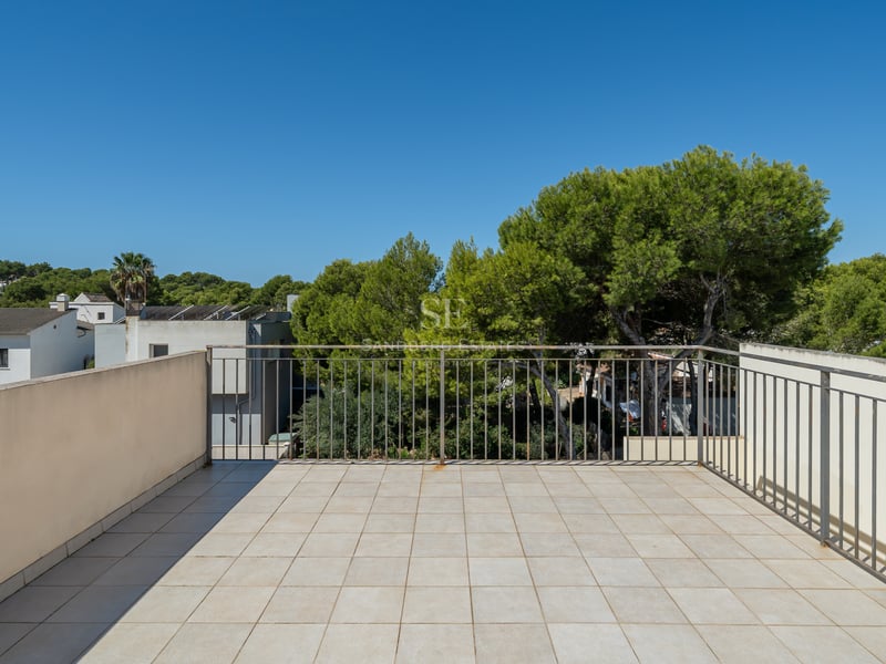 Kaklad terrass med metallräcke som vetter mot gröna pinjeträd under en klarblå himmel.