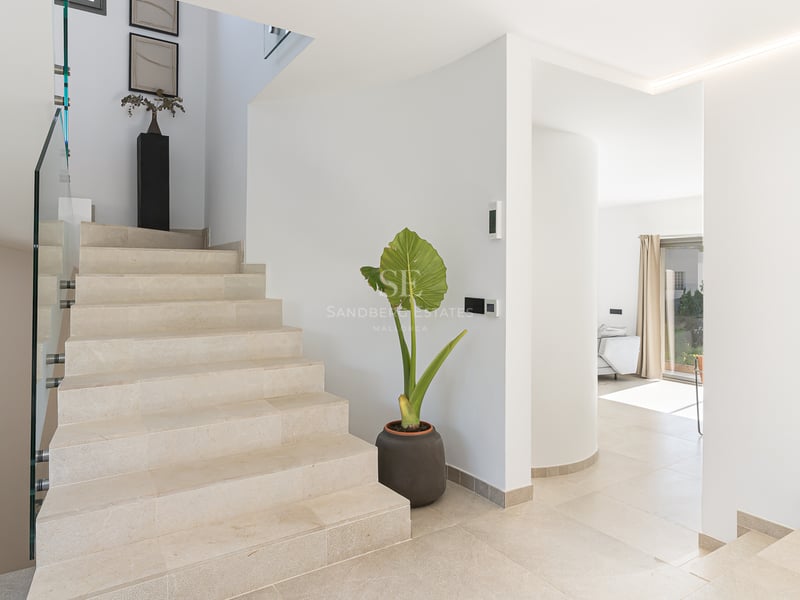 Modern inomhustrappa med trappsteg i ljus sten, glasräcken och en stor växt i en ljus entré.