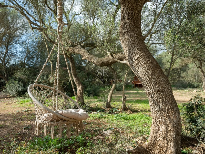 Beige hängstol i makramé upphängd i ett gammalt olivträd i en solig medelhavsträdgård.