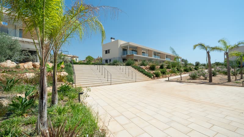 Grand escalier en pierre menant à un bâtiment contemporain crème avec balcons en verre et palmiers.