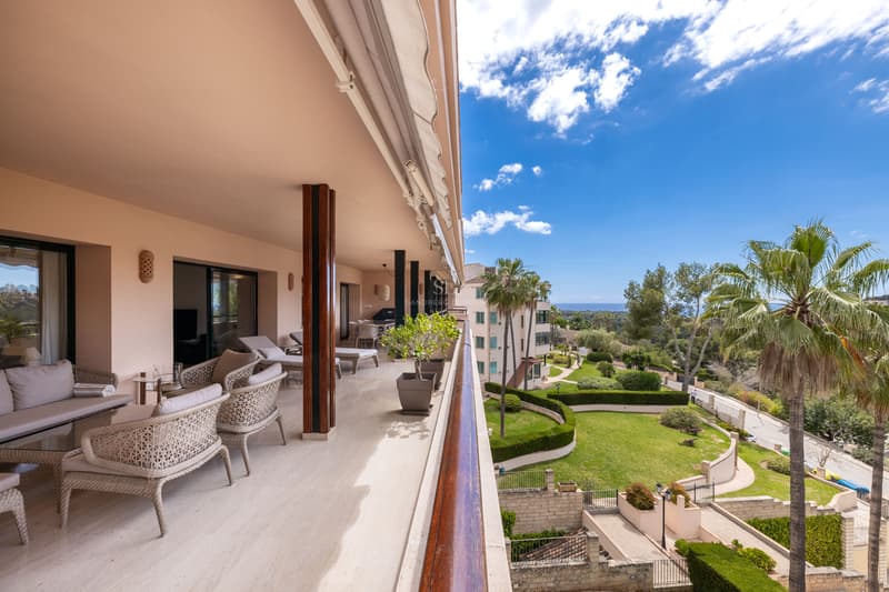 Grande terrasse couverte avec mobilier en osier surplombant un jardin avec palmiers et la mer sous un ciel bleu.