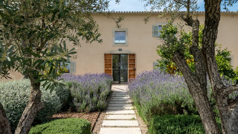 Allée en pierre bordée de lavande menant à la porte vitrée d'une villa traditionnelle couleur ocre.