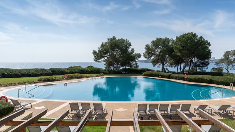 Stor kurvad pool med utsikt över havet, omgiven av solstolar och pinjeträd under en klarblå himmel.