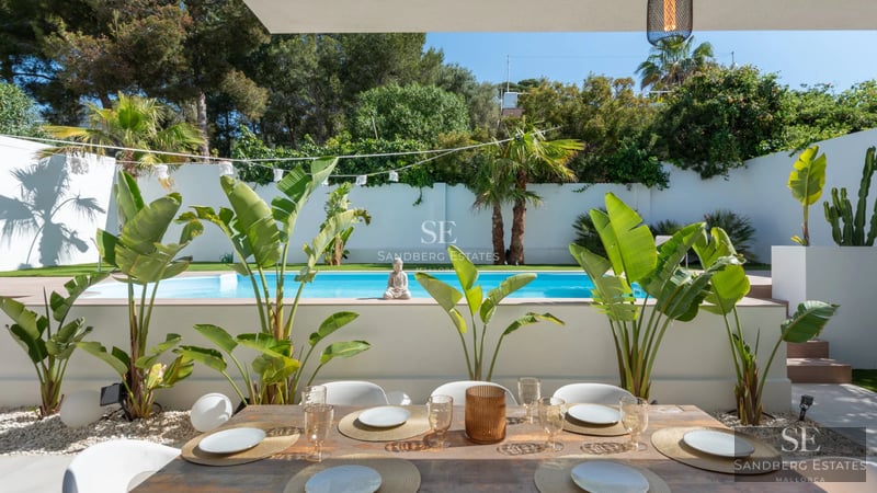 Spacious living room with floor-to-ceiling windows, designer sofa, and modern rug. Natural light and garden view.