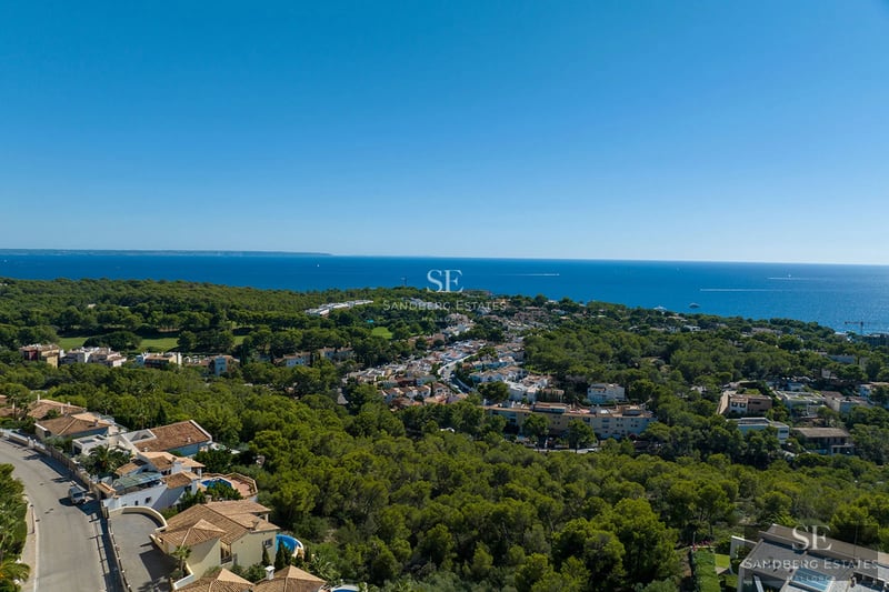 Aerial view of a Mediterranean coastal town with lush pine forests, terracotta roof houses, and the deep blue sea.